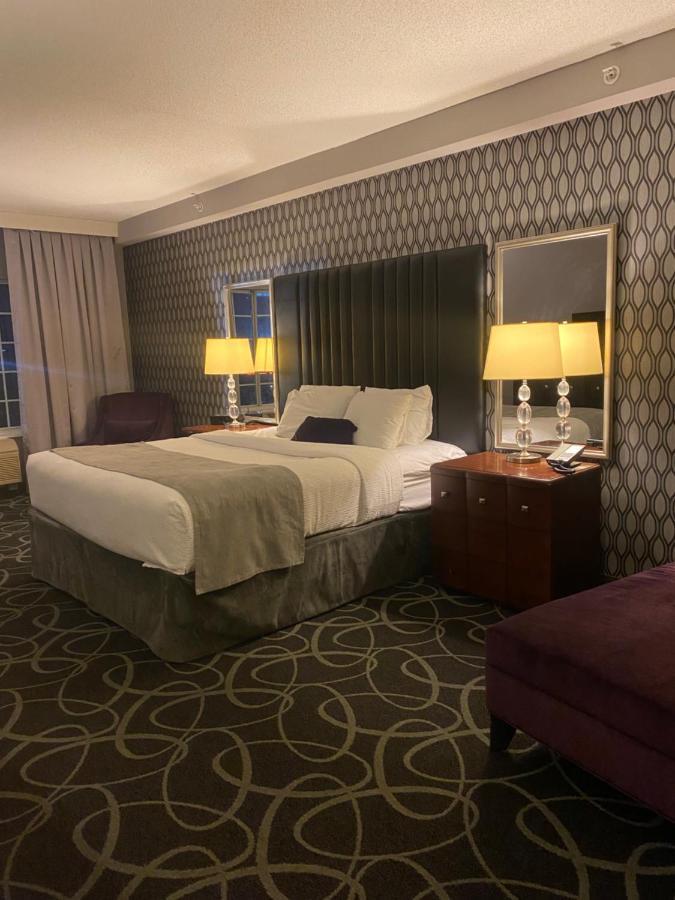 Park Manor Hotel Clifton Park Eksteriør billede A room at the Hotel Commonwealth